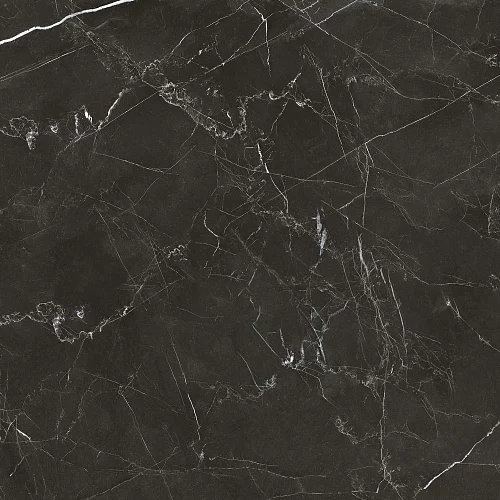 Фото Керамогранит матовый Steppe Ceramics Royal Black черный 600*600*9,5 – купить в Рубцовске: цена, описание, фото. Интернет-магазин 4