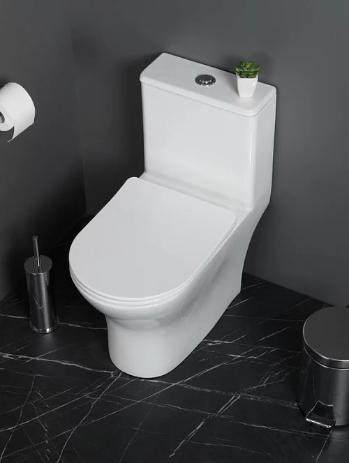 Фото Унитаз моноблок BelBagno Lounge BB8618CPR-MN/SC безободковый купить в Рубцовске: цена, описание, фото. Интернет-магазин 1